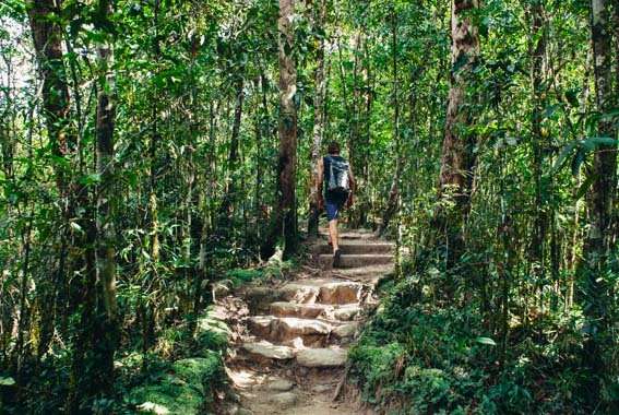 walking in tropical queensland